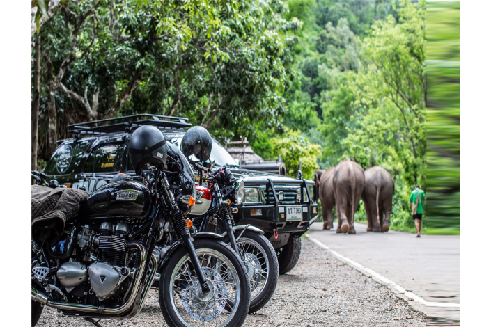 motorbike tours thailand